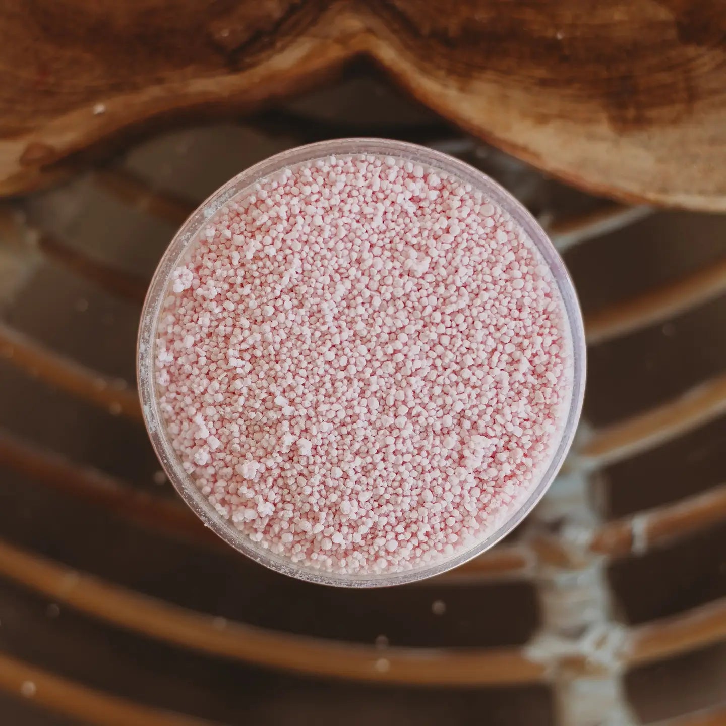 Jellyfish Bloom Fizz