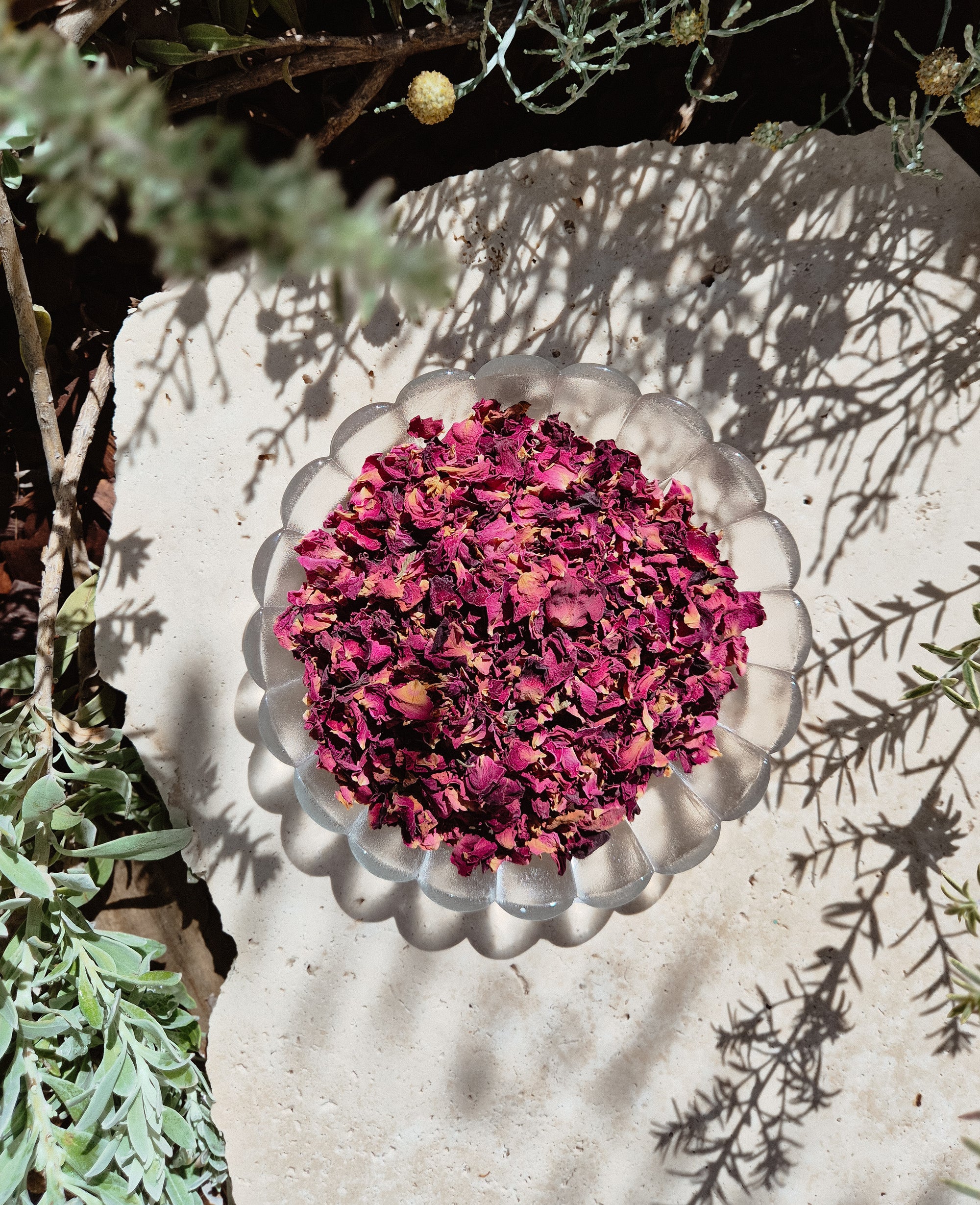 Mini Rose Petals
