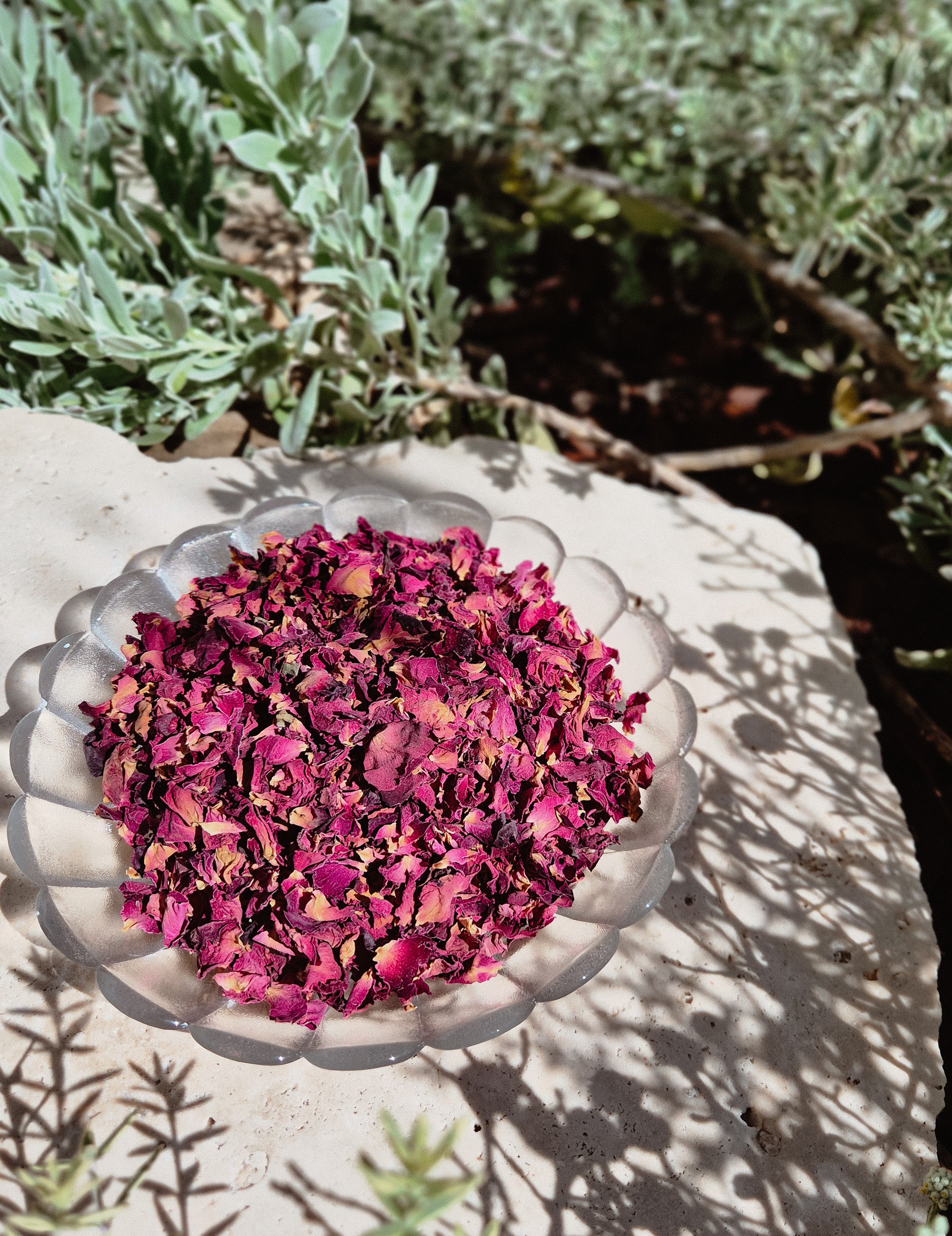 Mini Rose Petals