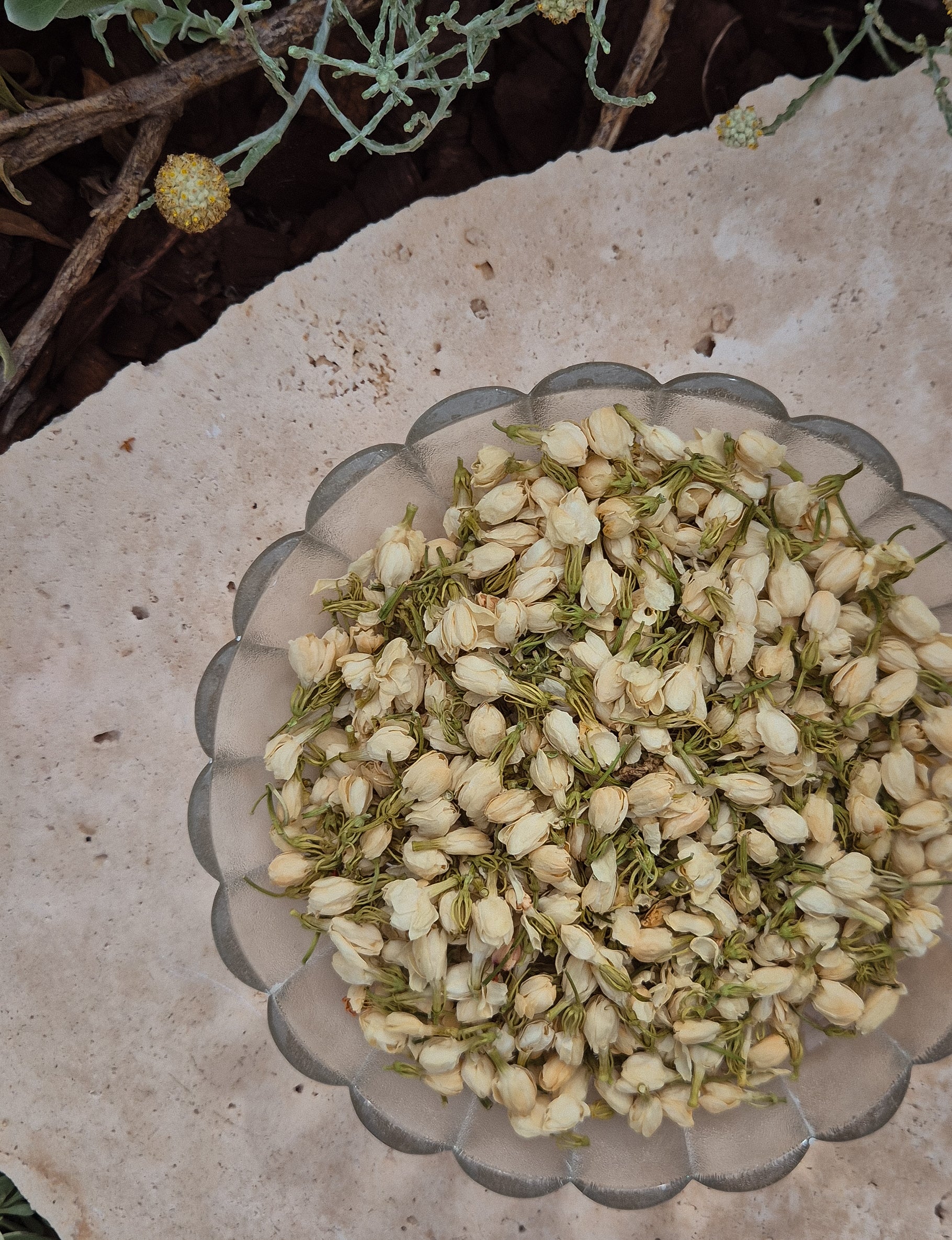 Jasmine Bud