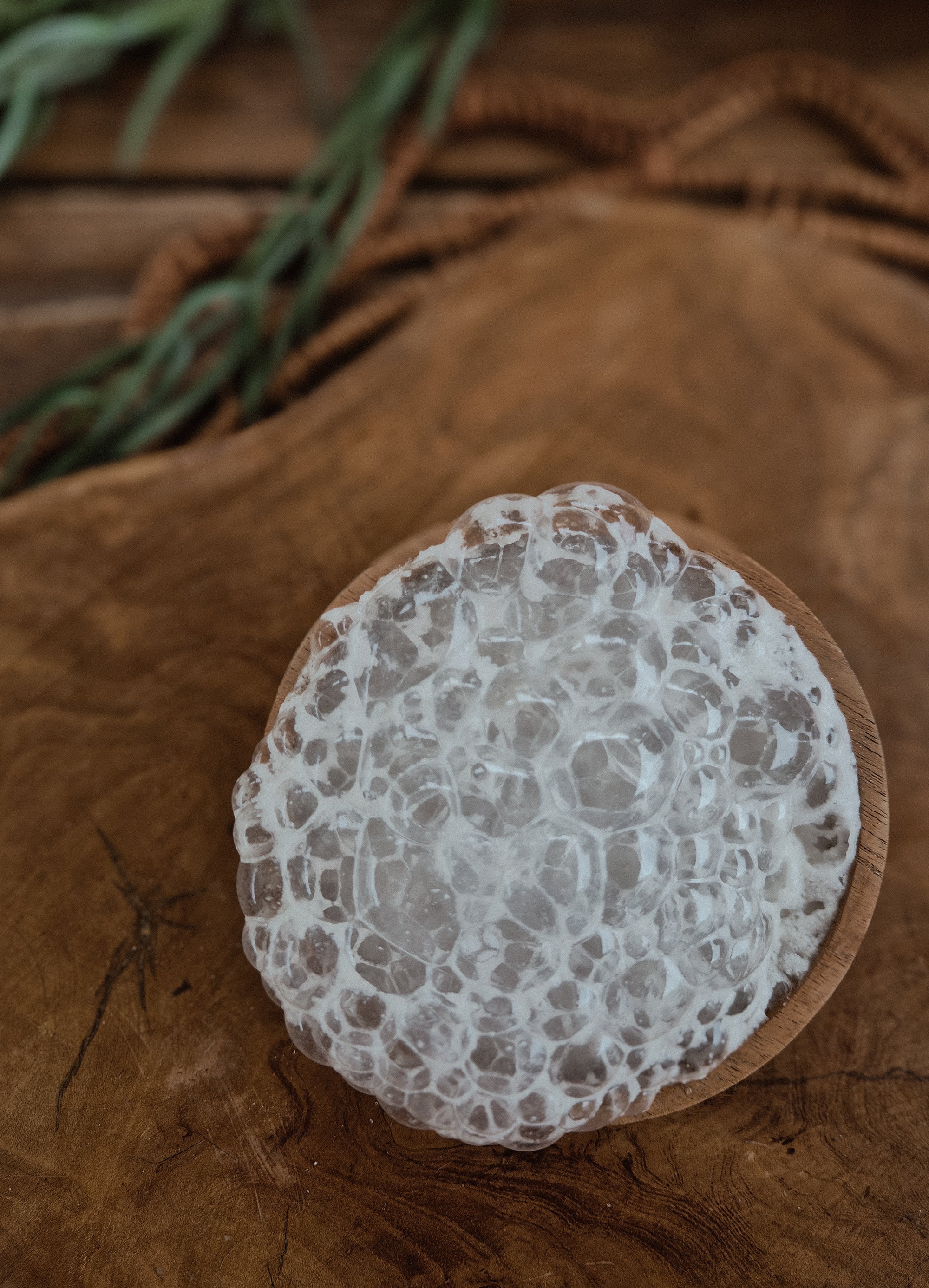 Seafoam White Saltwater Fizz