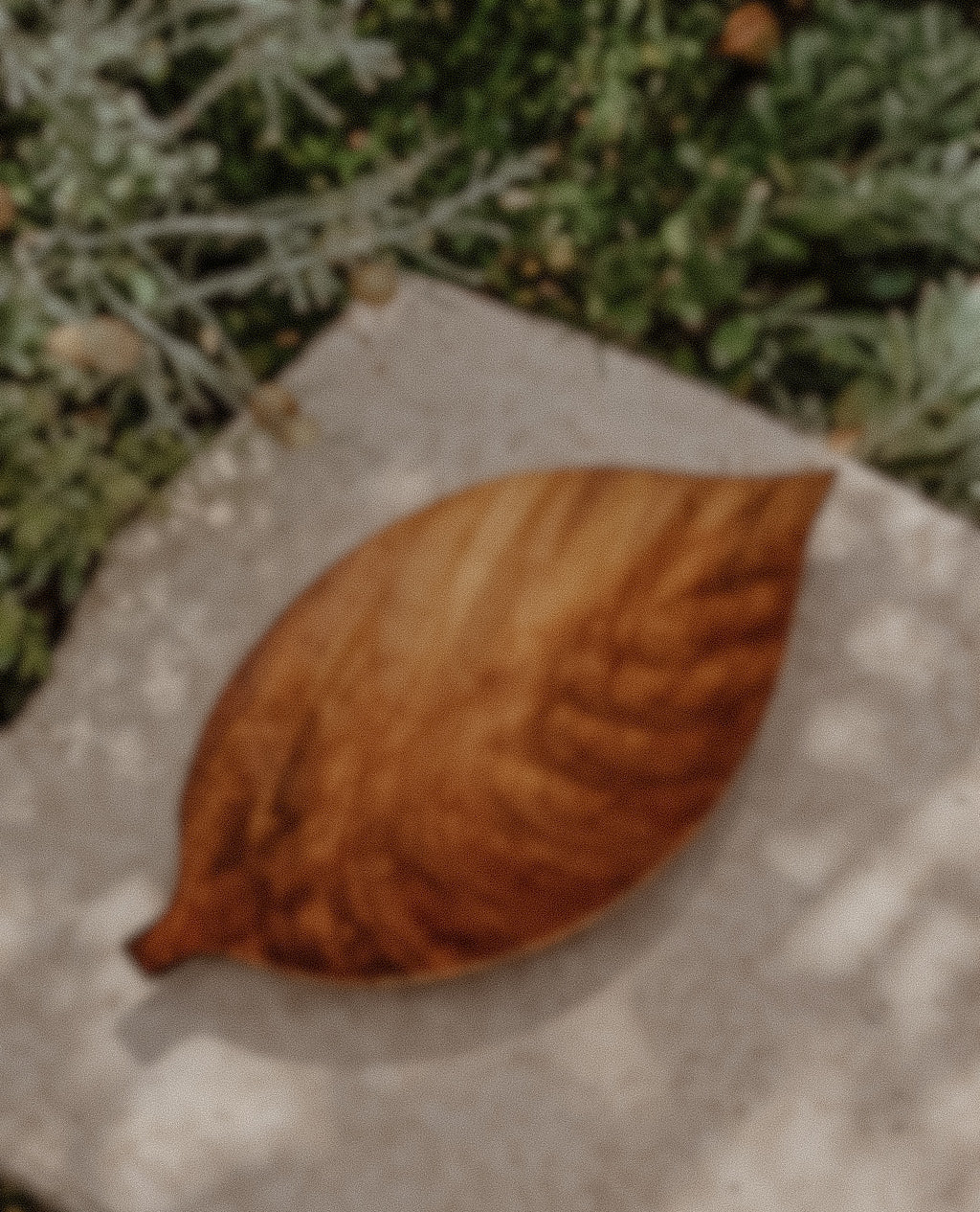 Leaf Tray