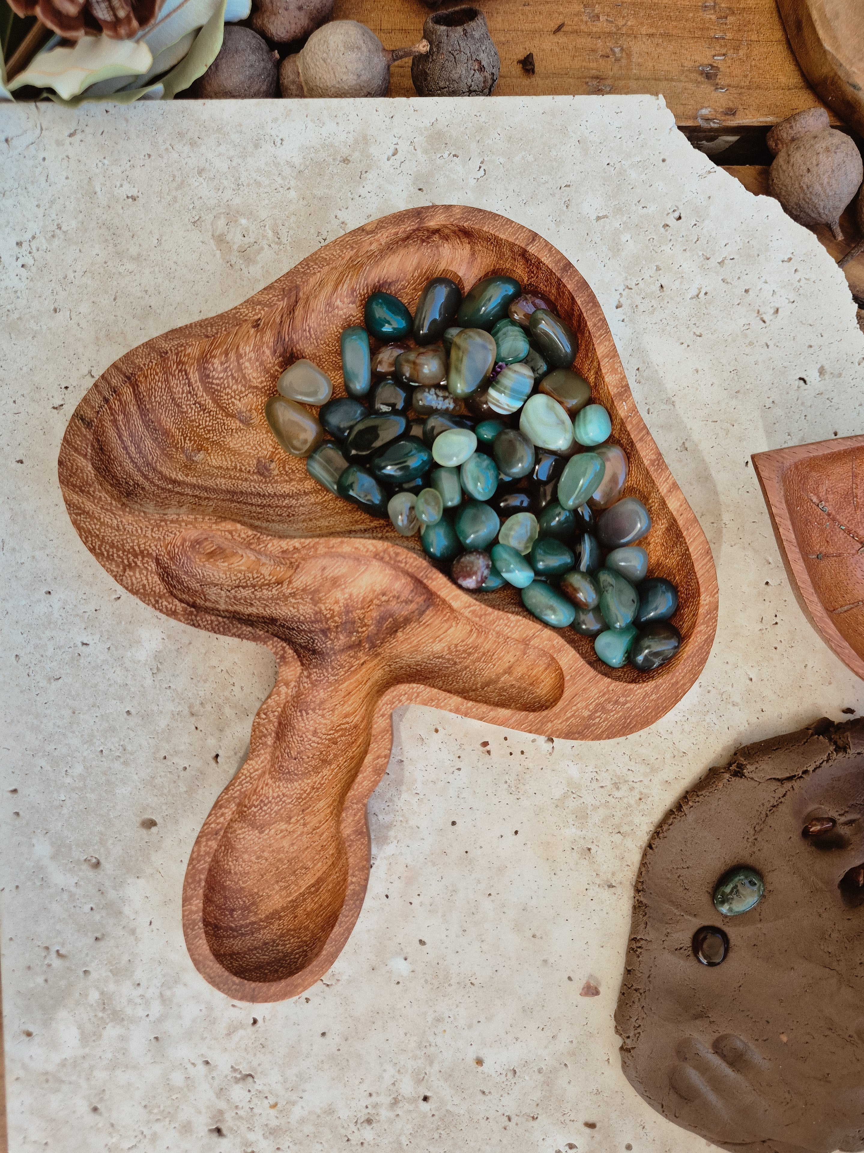 Meadow Mushroom Tray