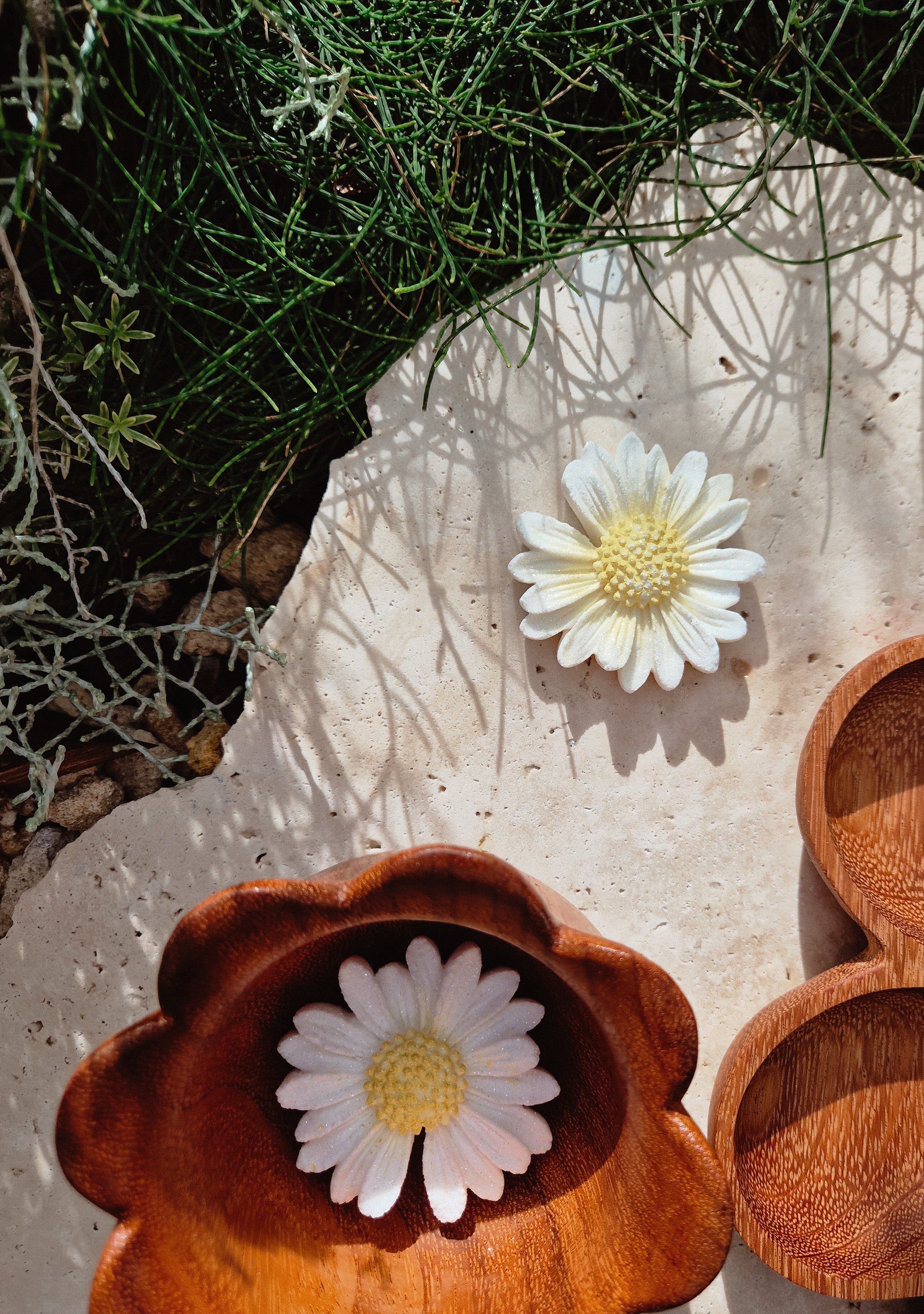 Daisy Fizzer