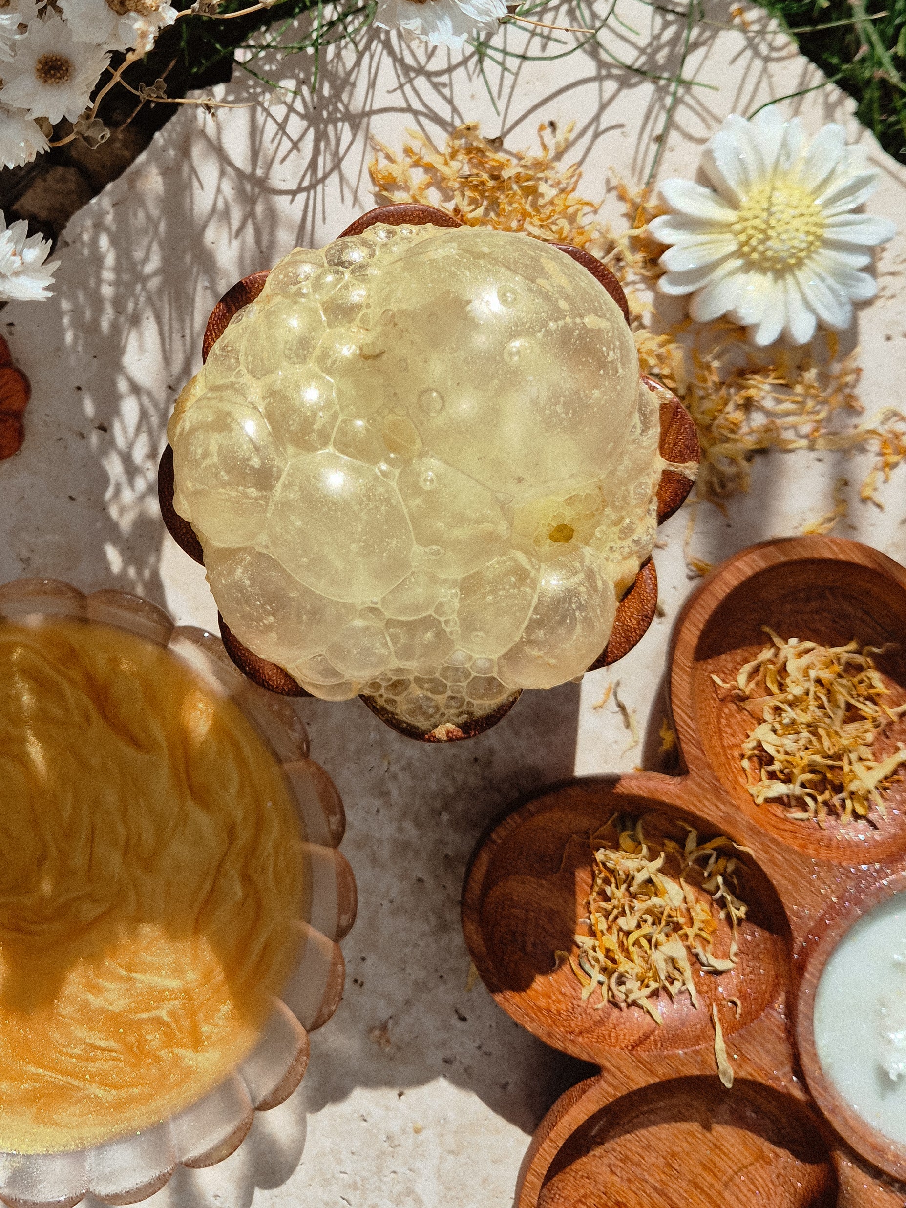 Bloom~Fizz