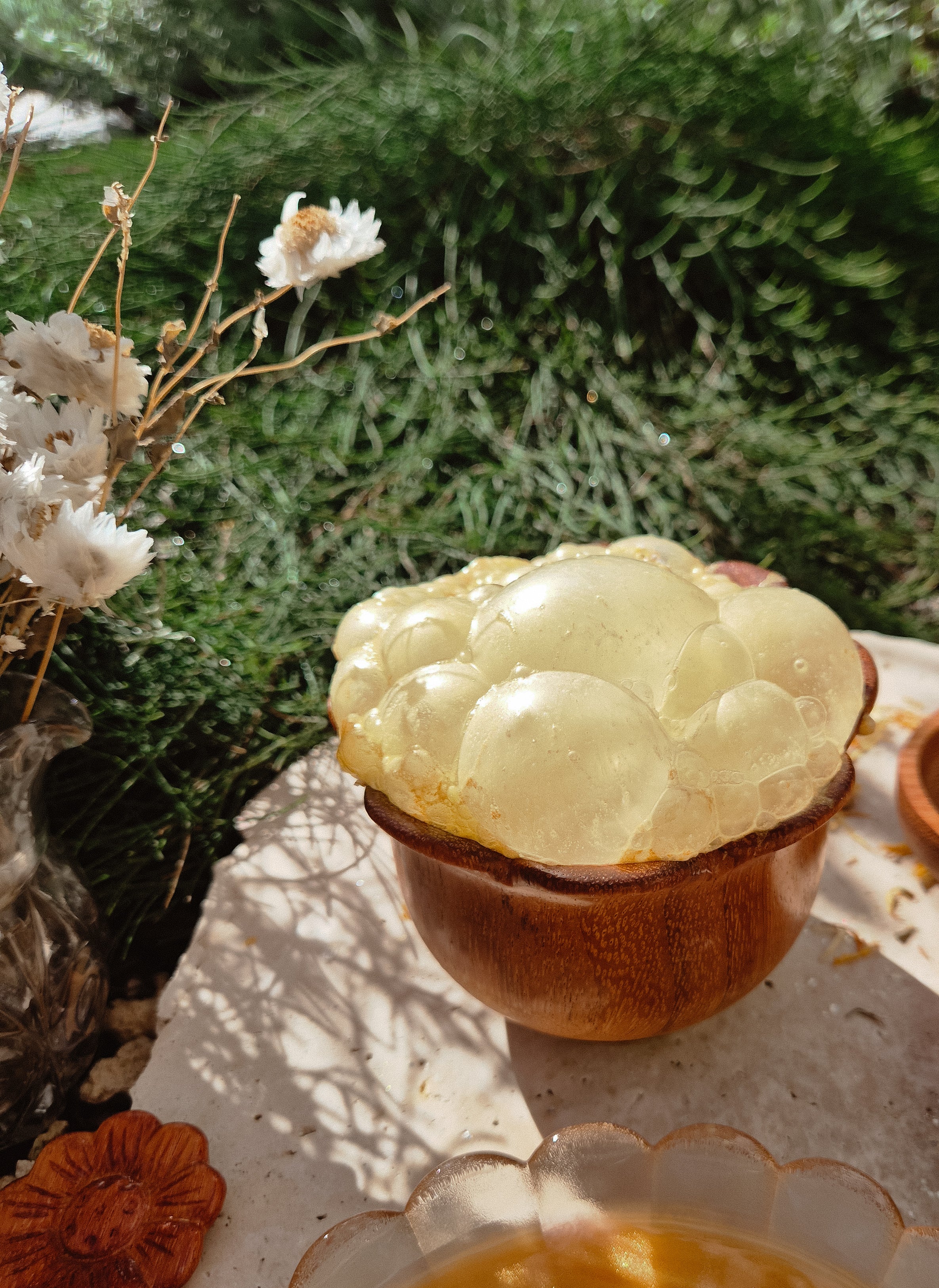 Bloom~Fizz