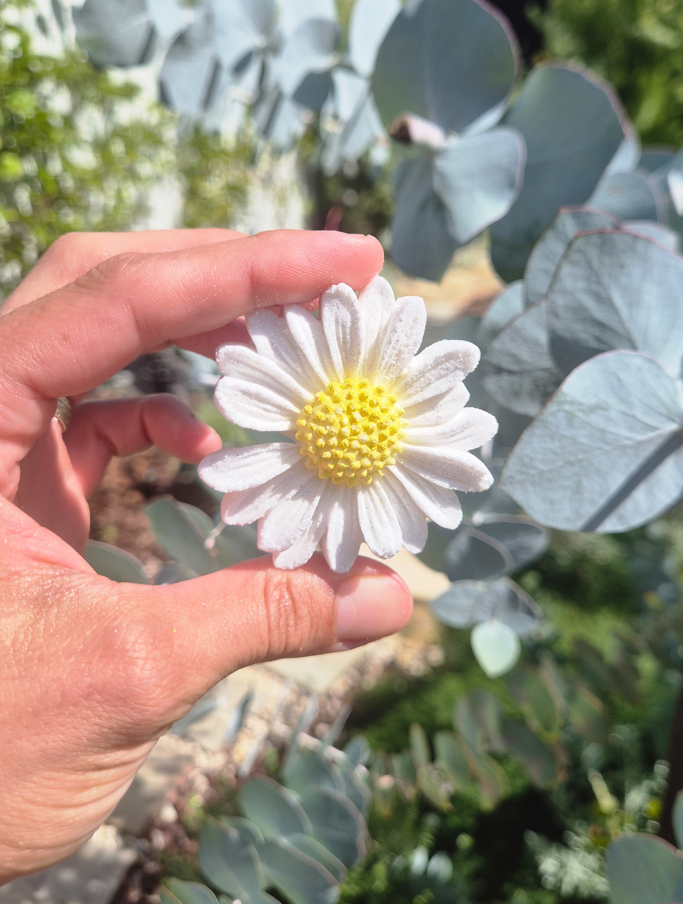 Daisy Fizzer