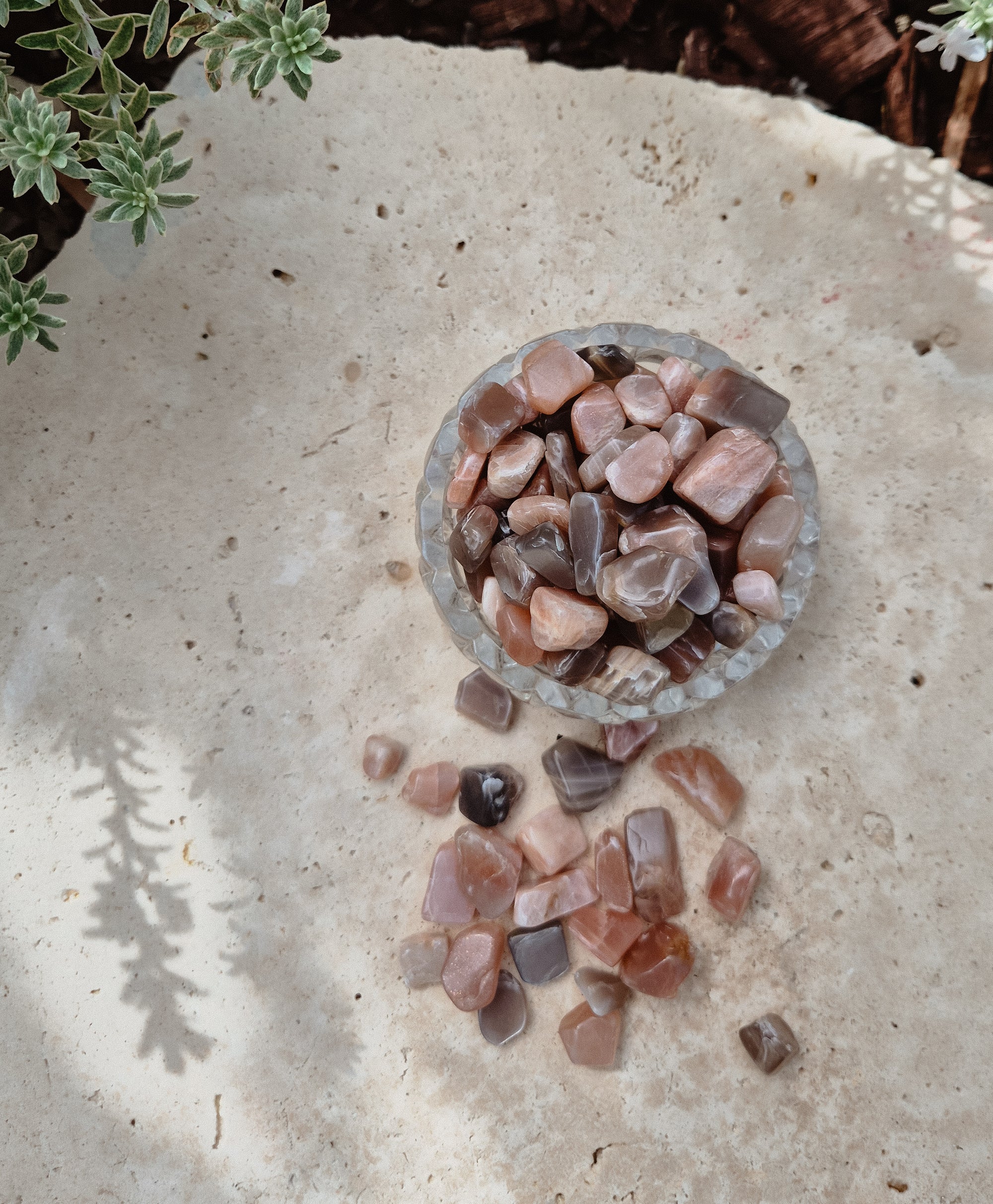 Mushroom Stones