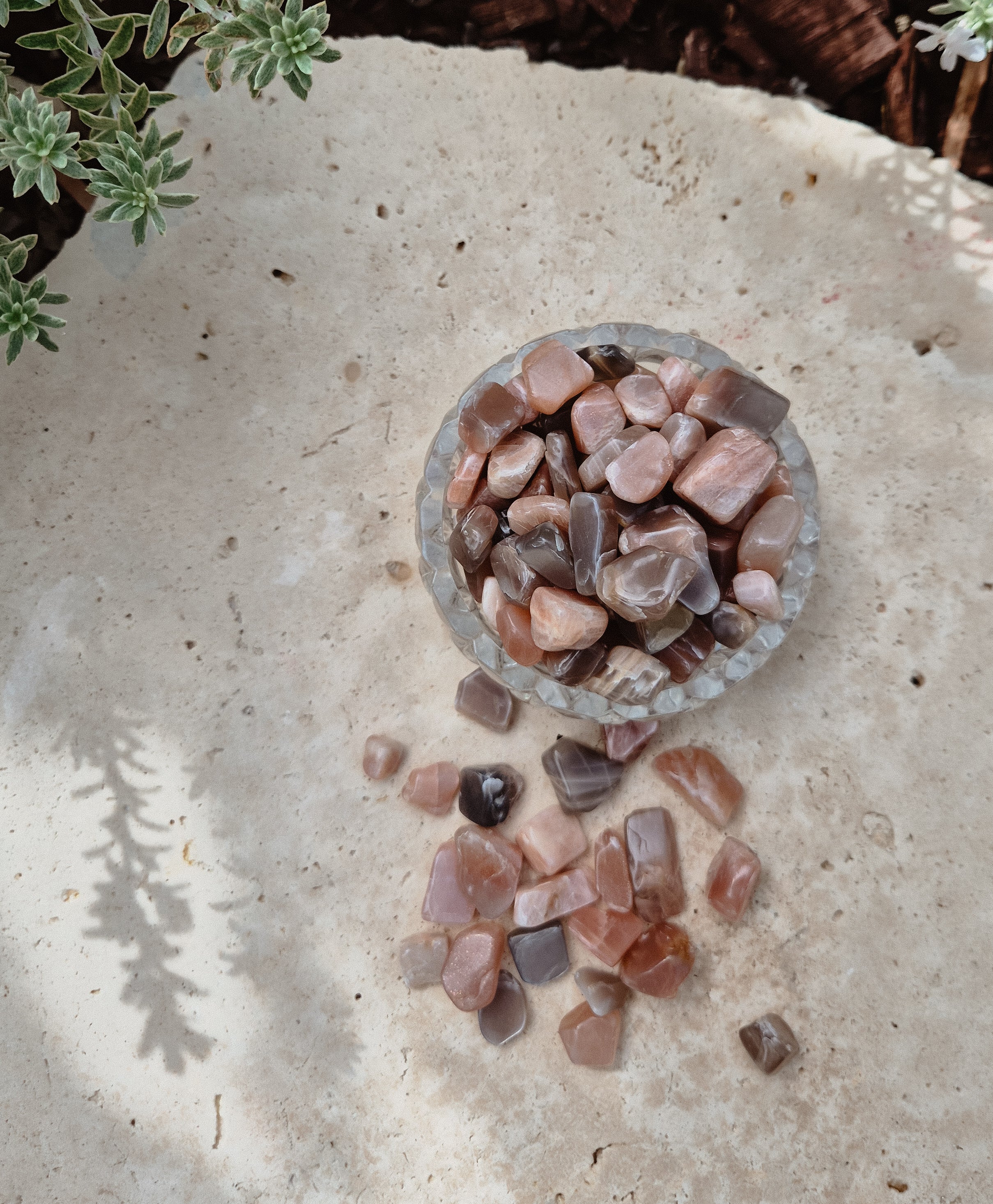 Mushroom Stones