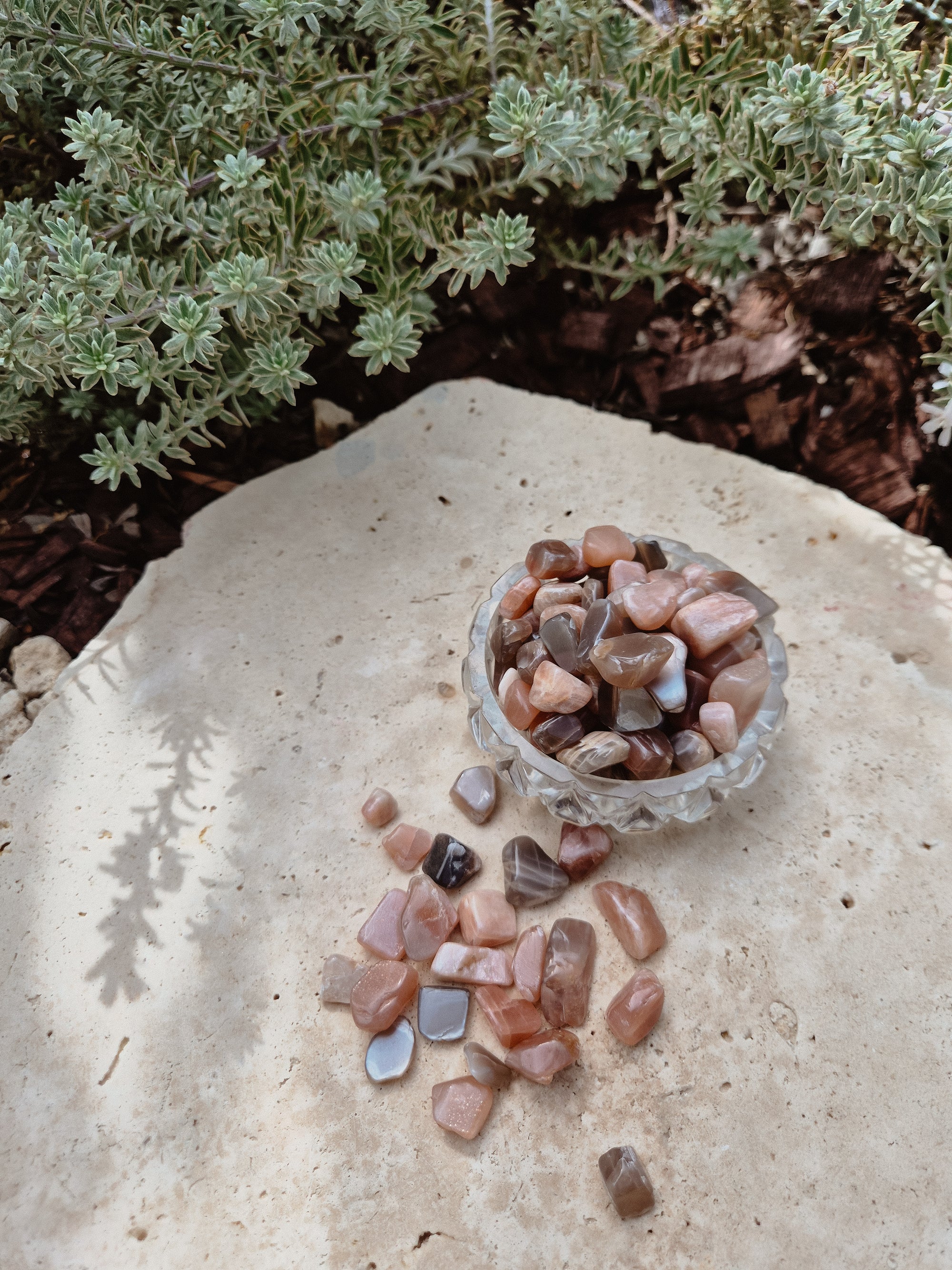 Mushroom Stones