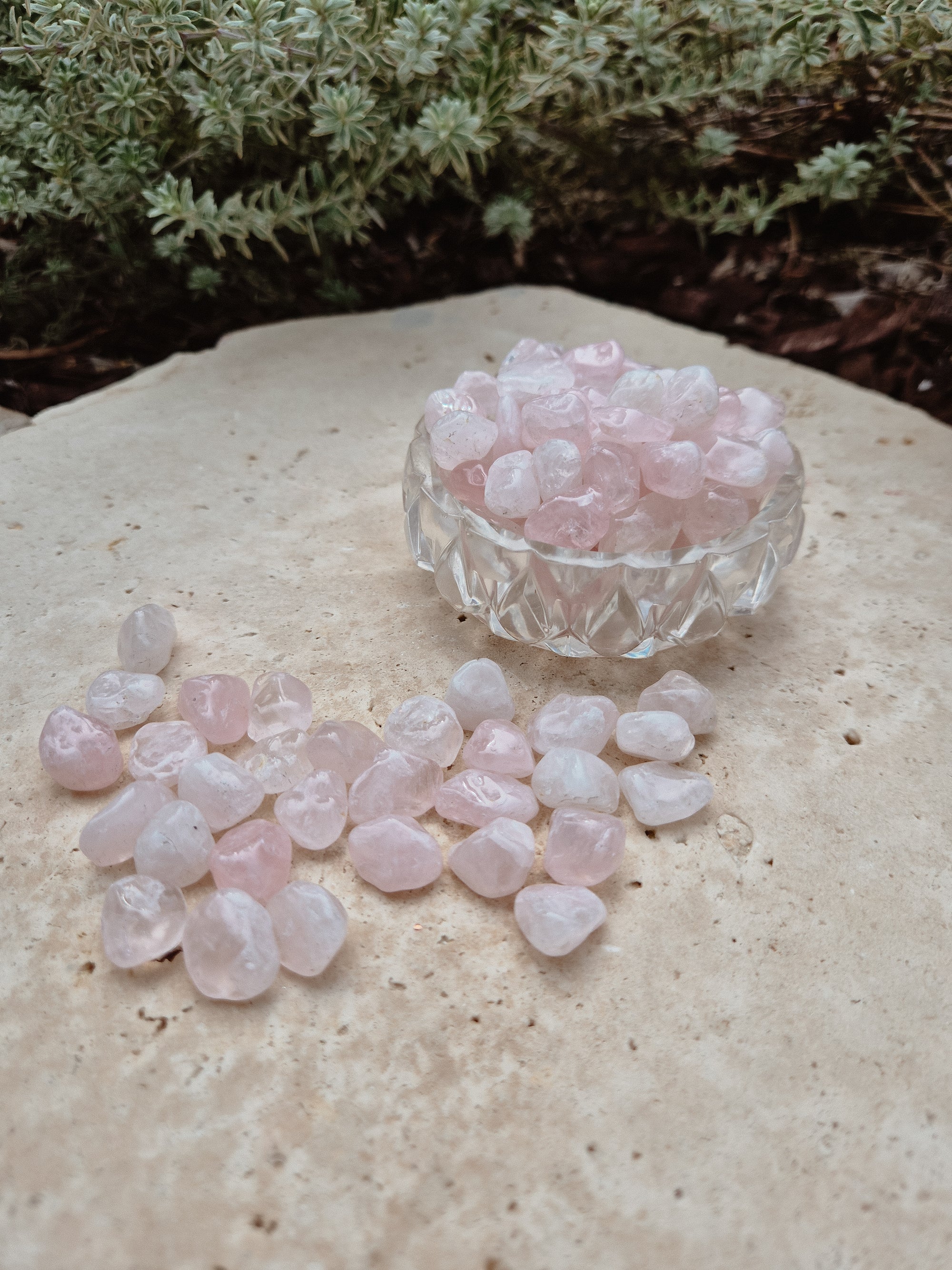Rose Quartz