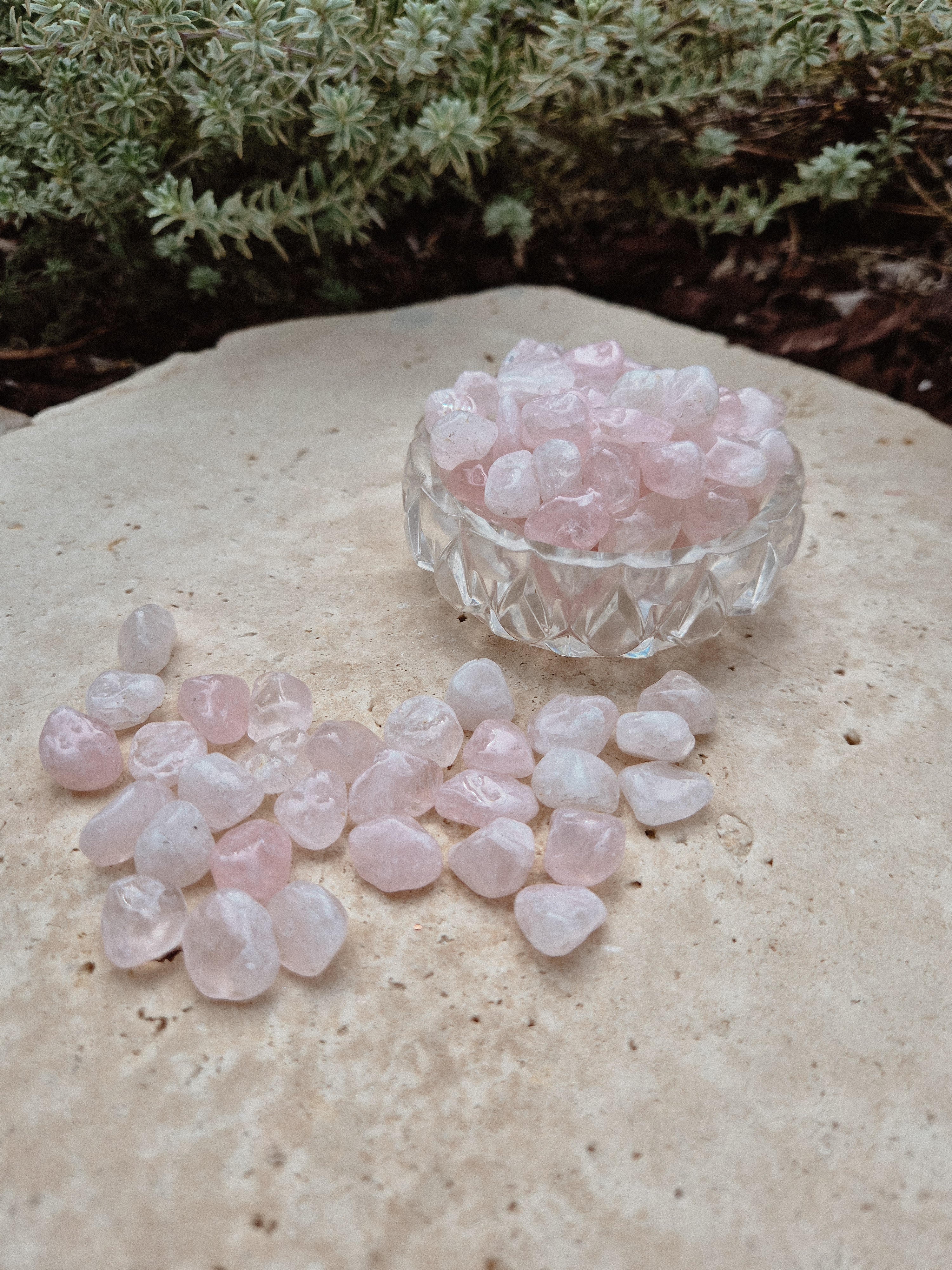 Rose Quartz
