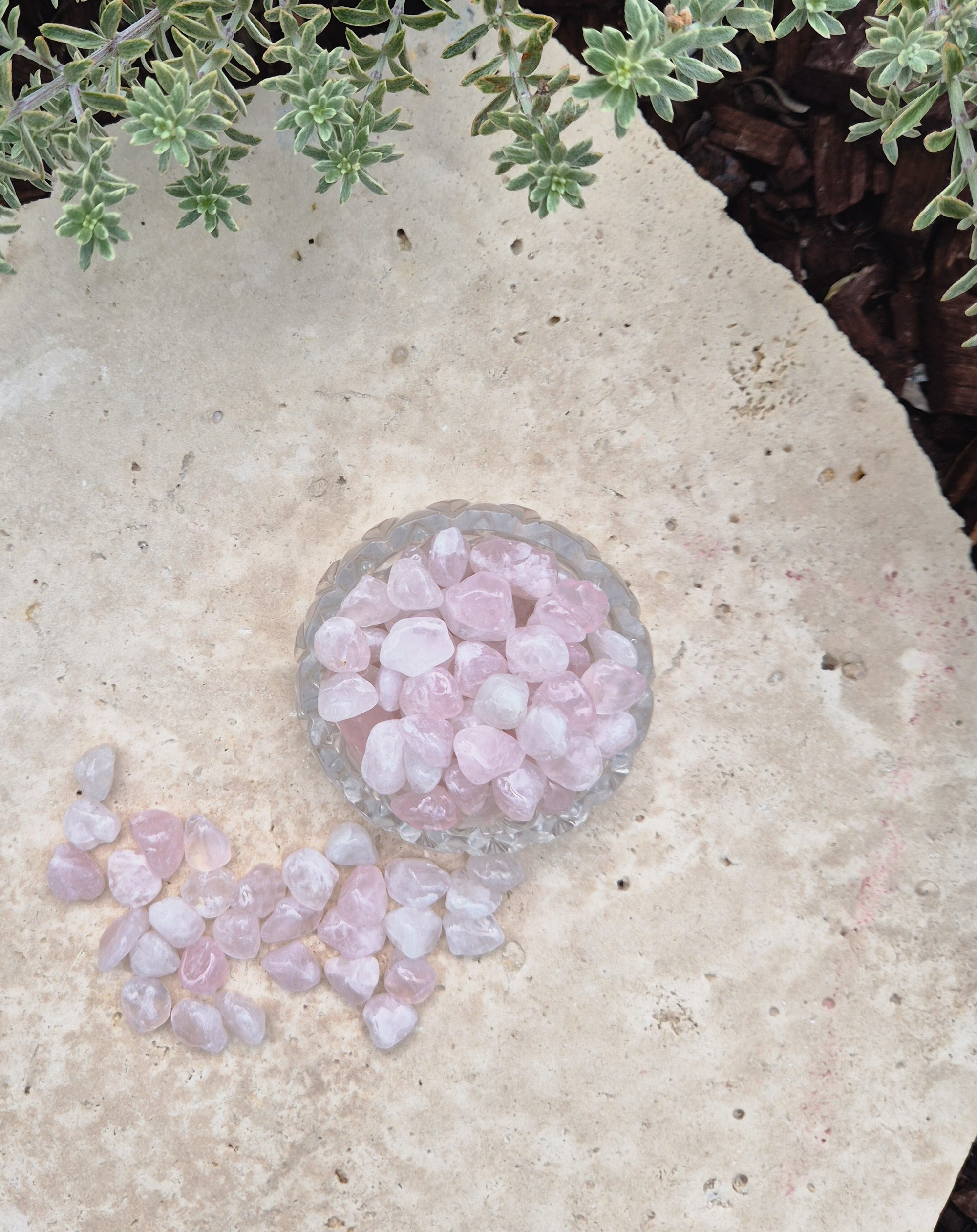 Rose Quartz