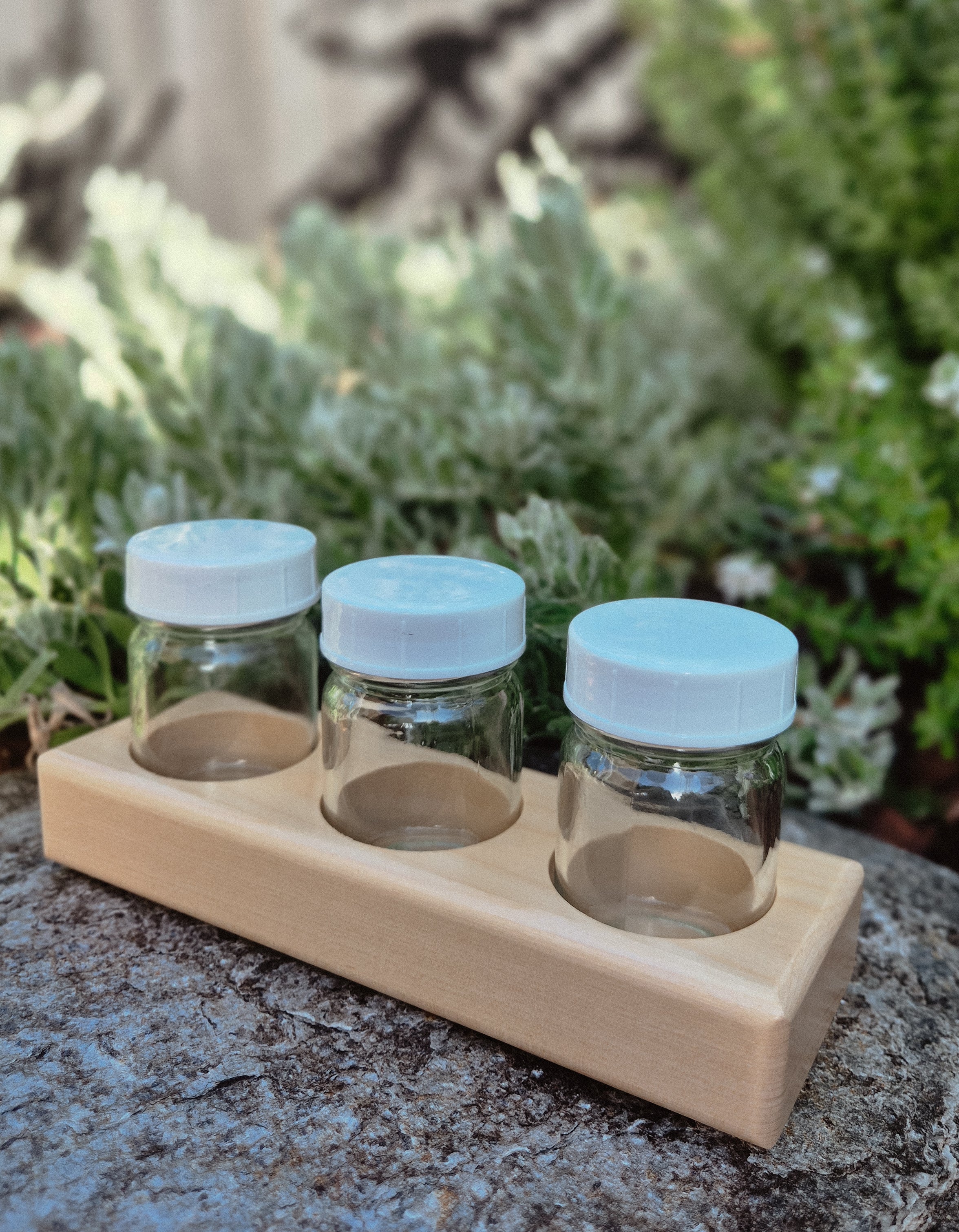 Glass Jars with Wooden Holder