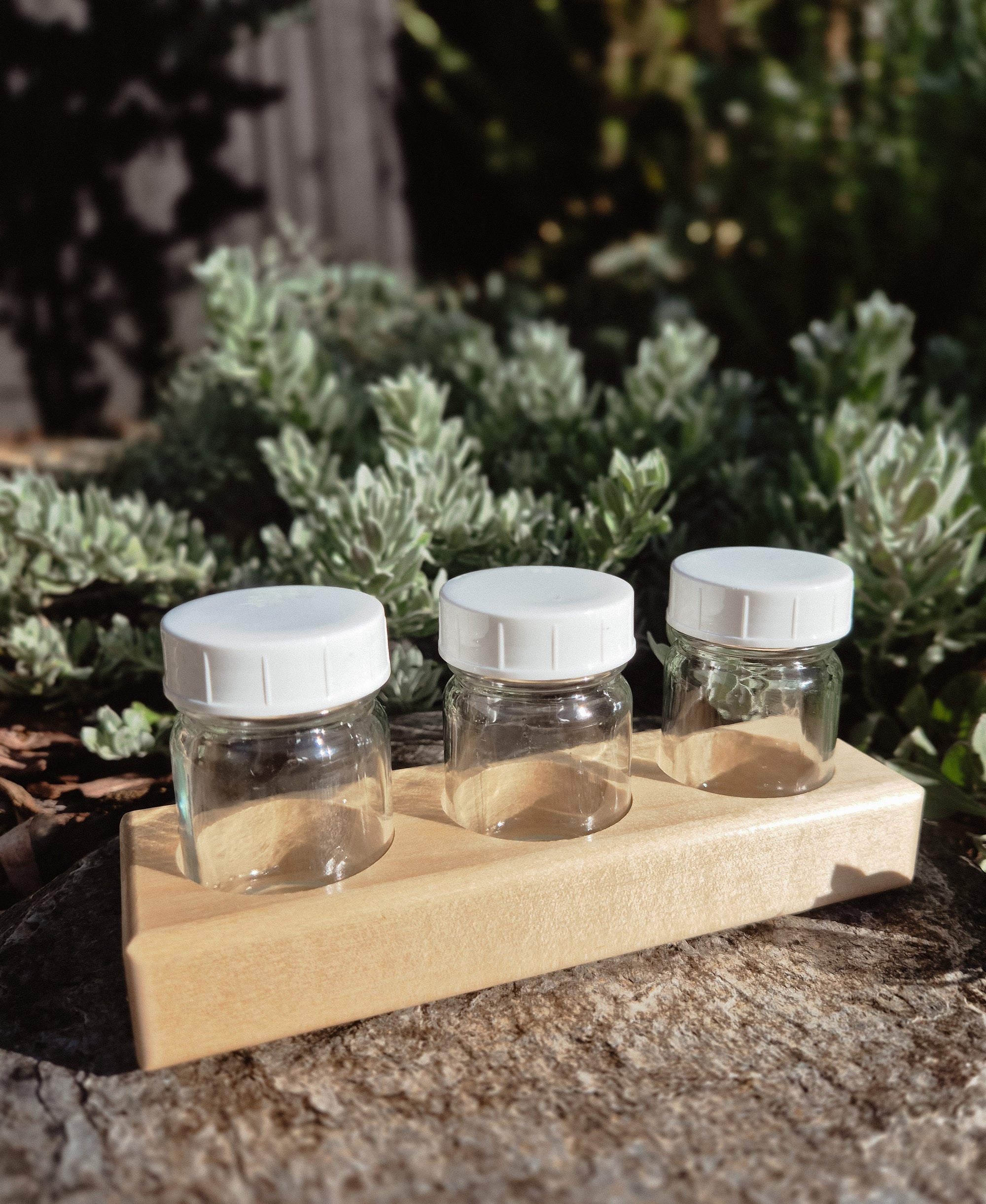 Glass Jars with Wooden Holder