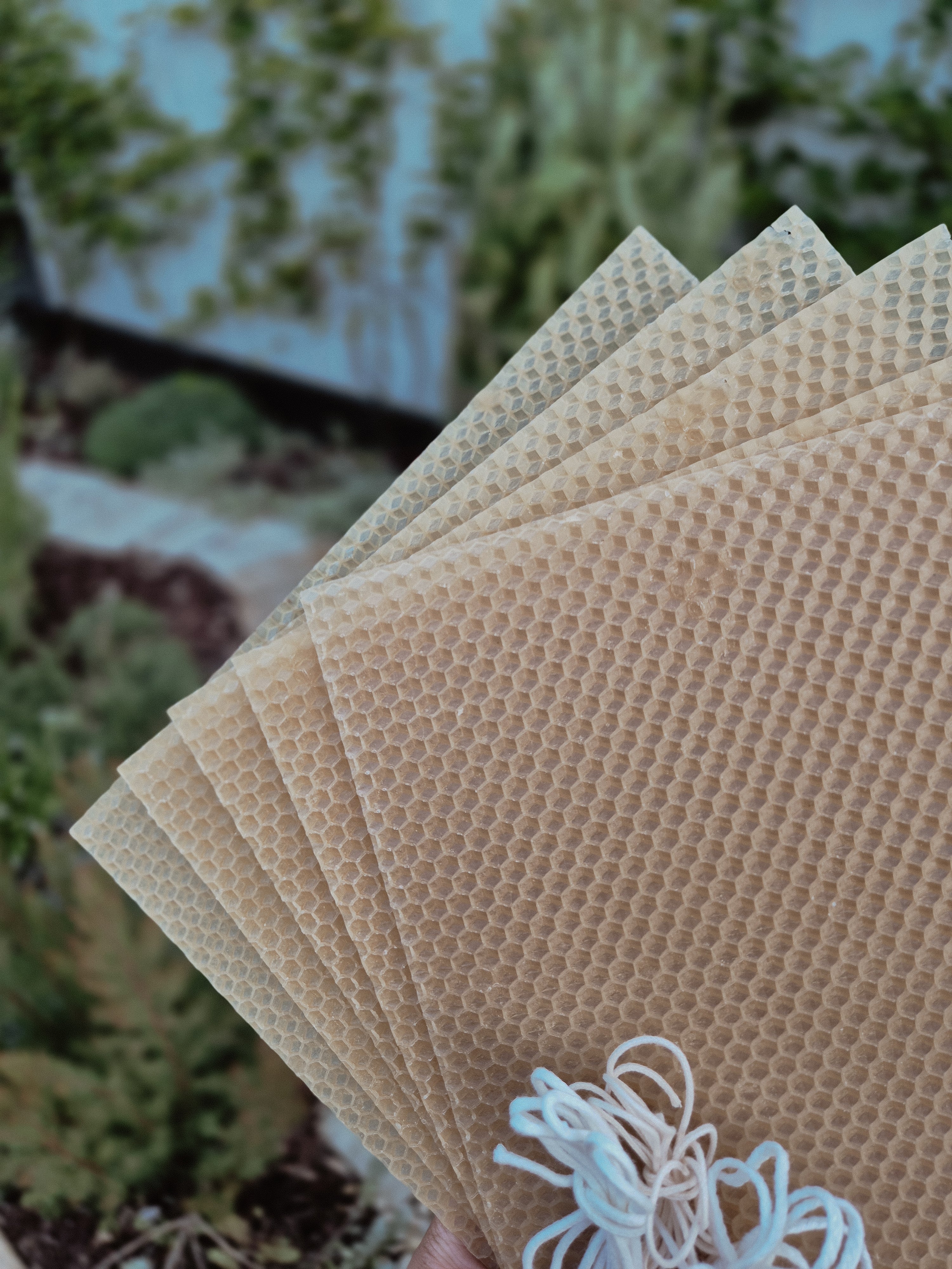 Beeswax Candle Pack