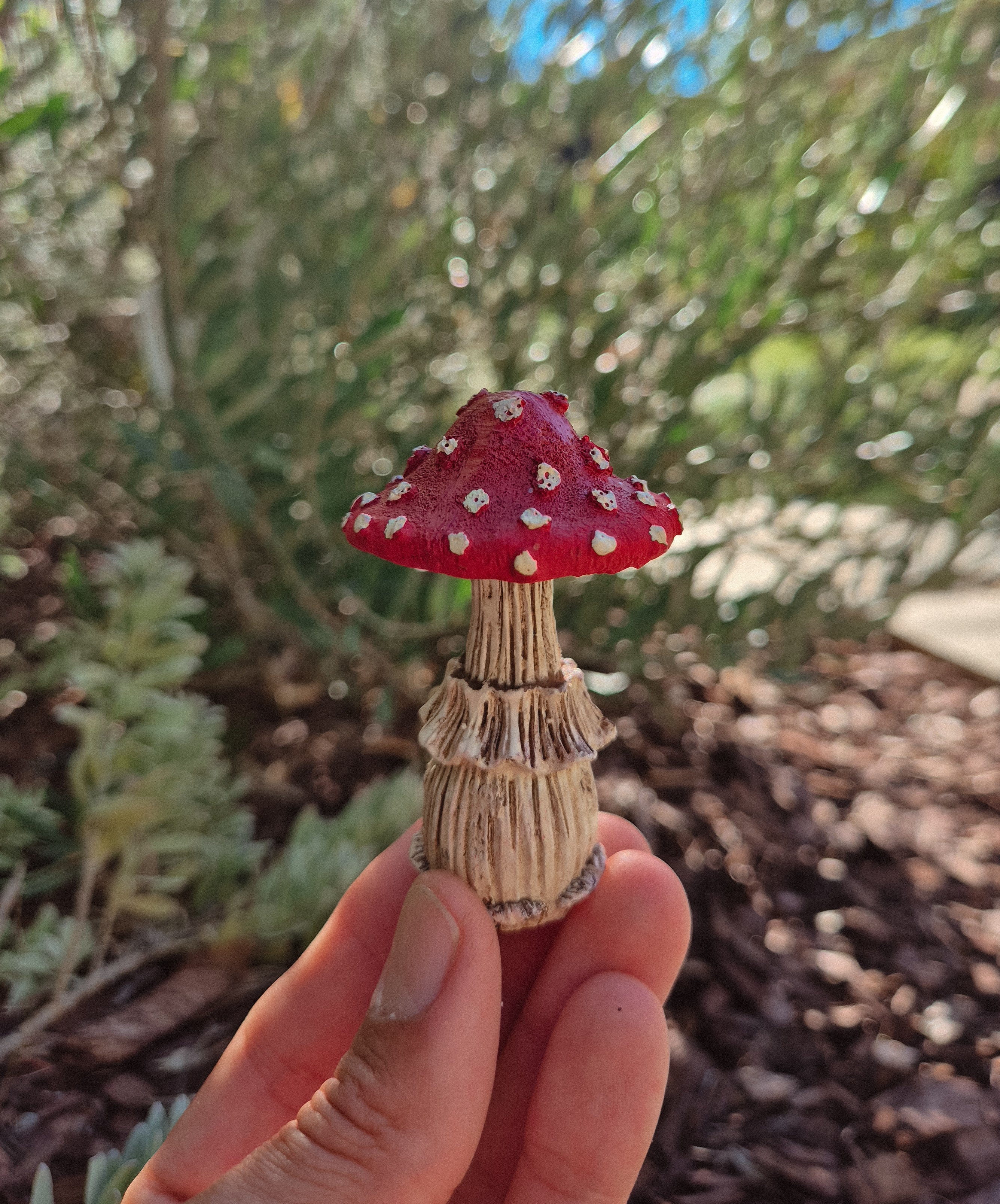Red Mushroom