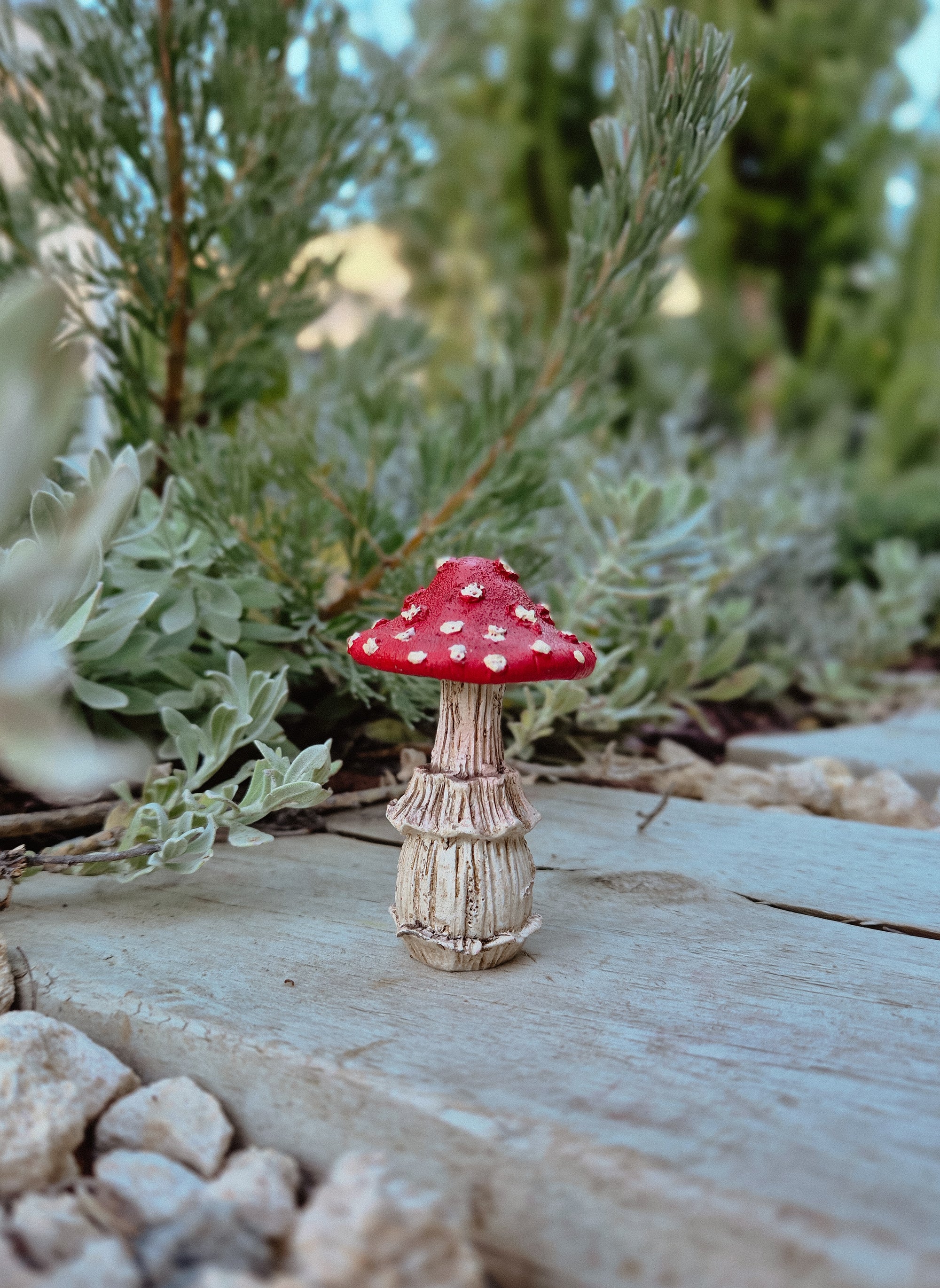 Red Mushroom
