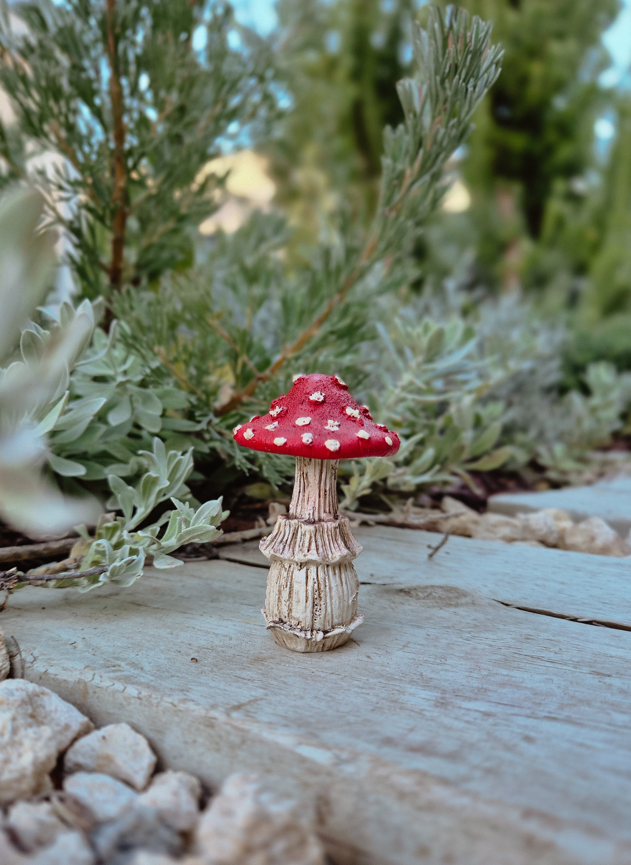 Red Mushroom
