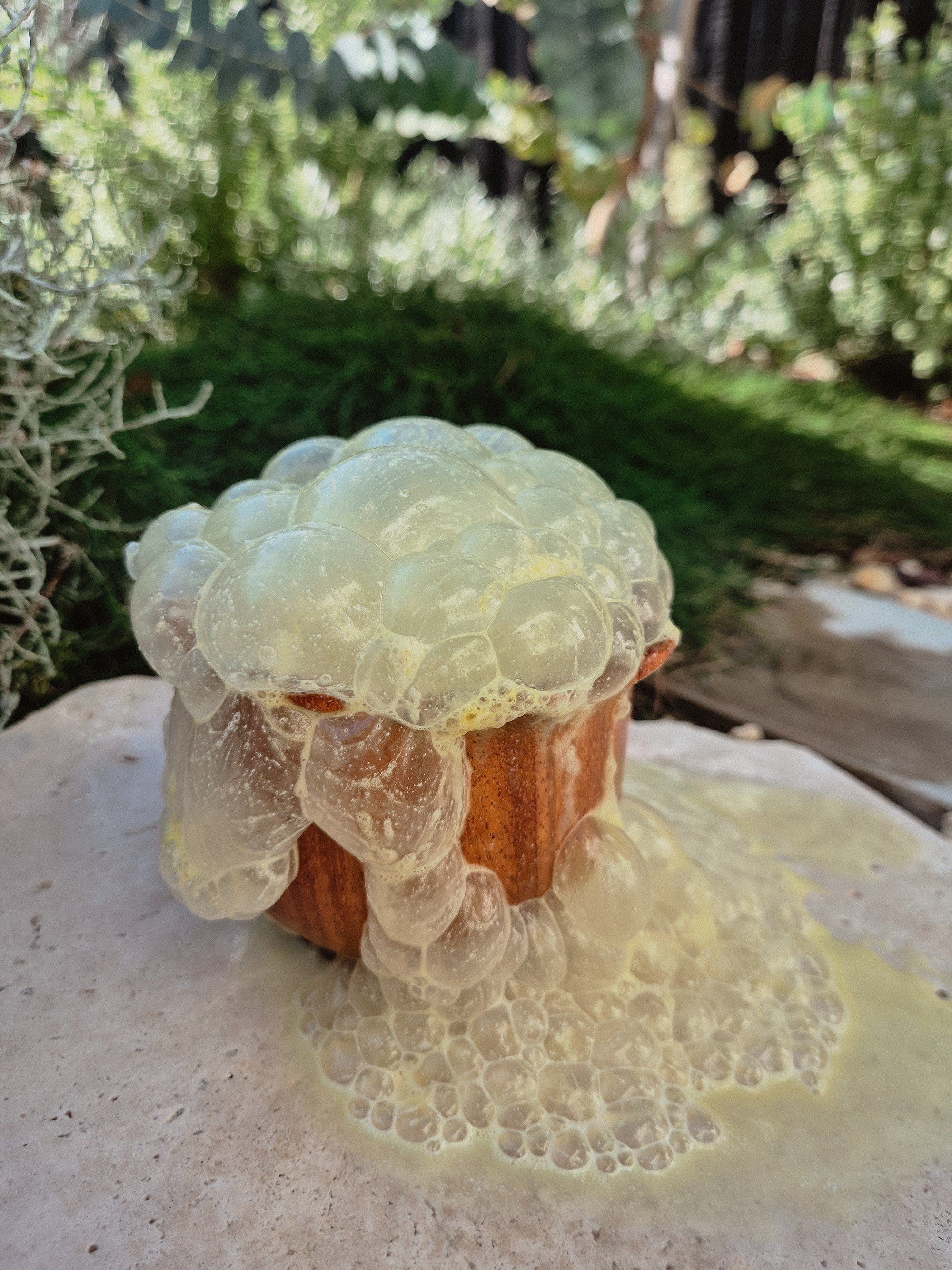 Bloom~Fizz