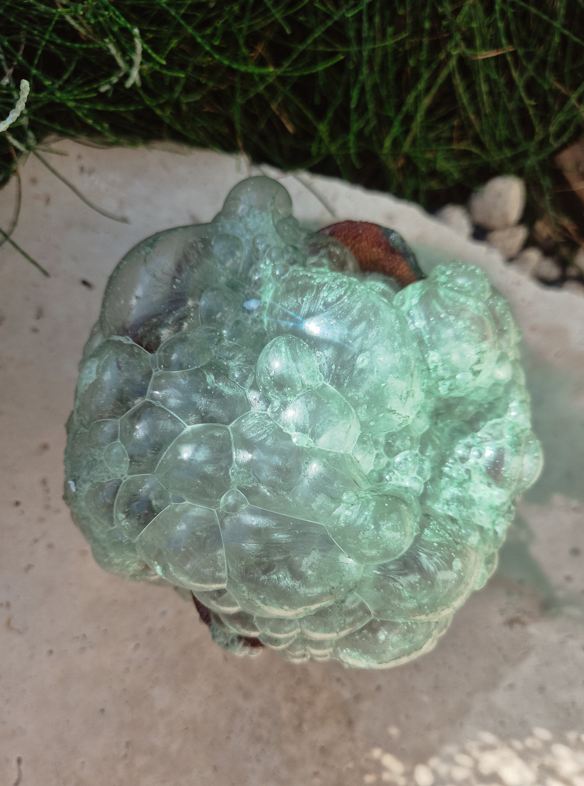 Nature~Fizz