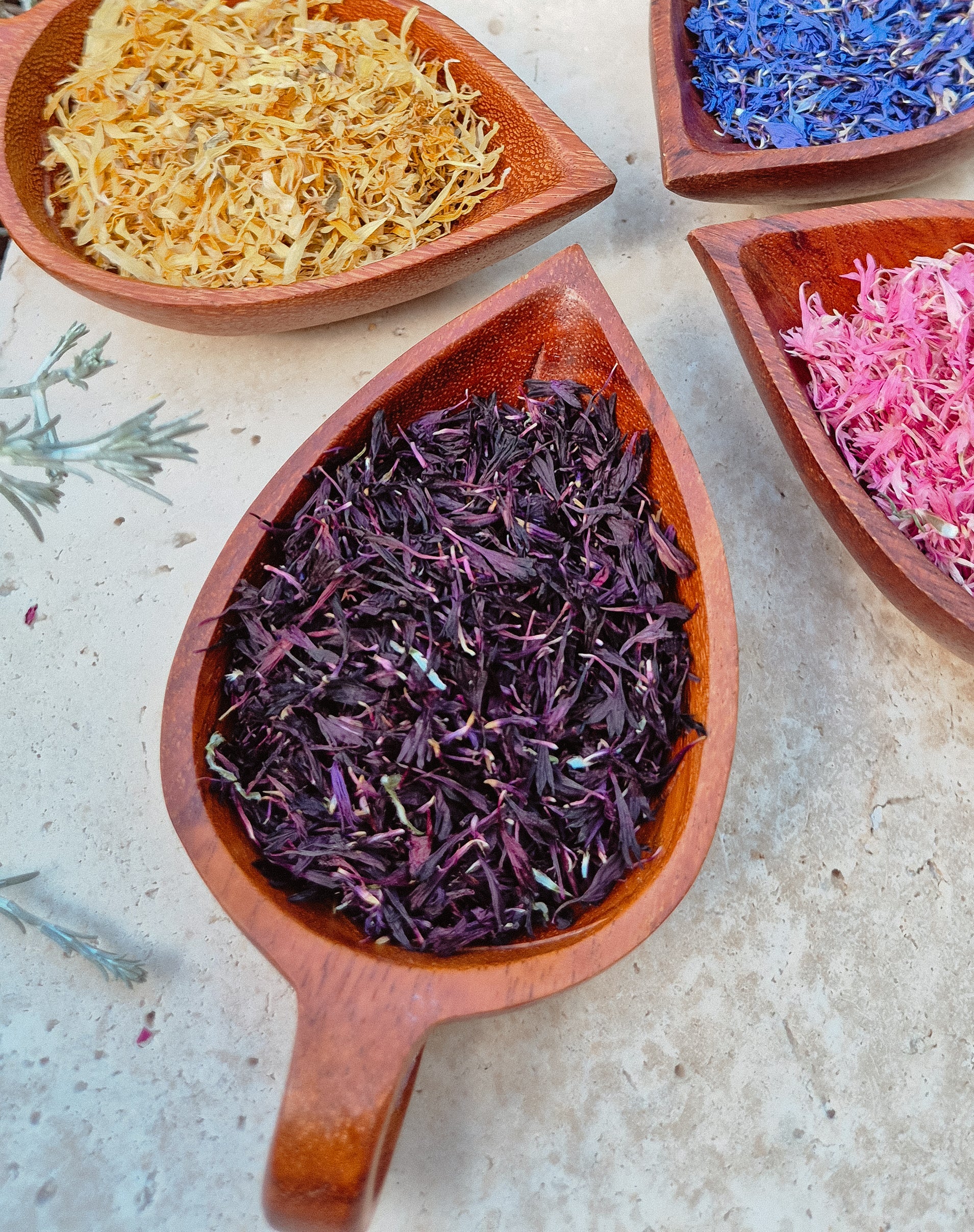 Purple Cornflower Petals