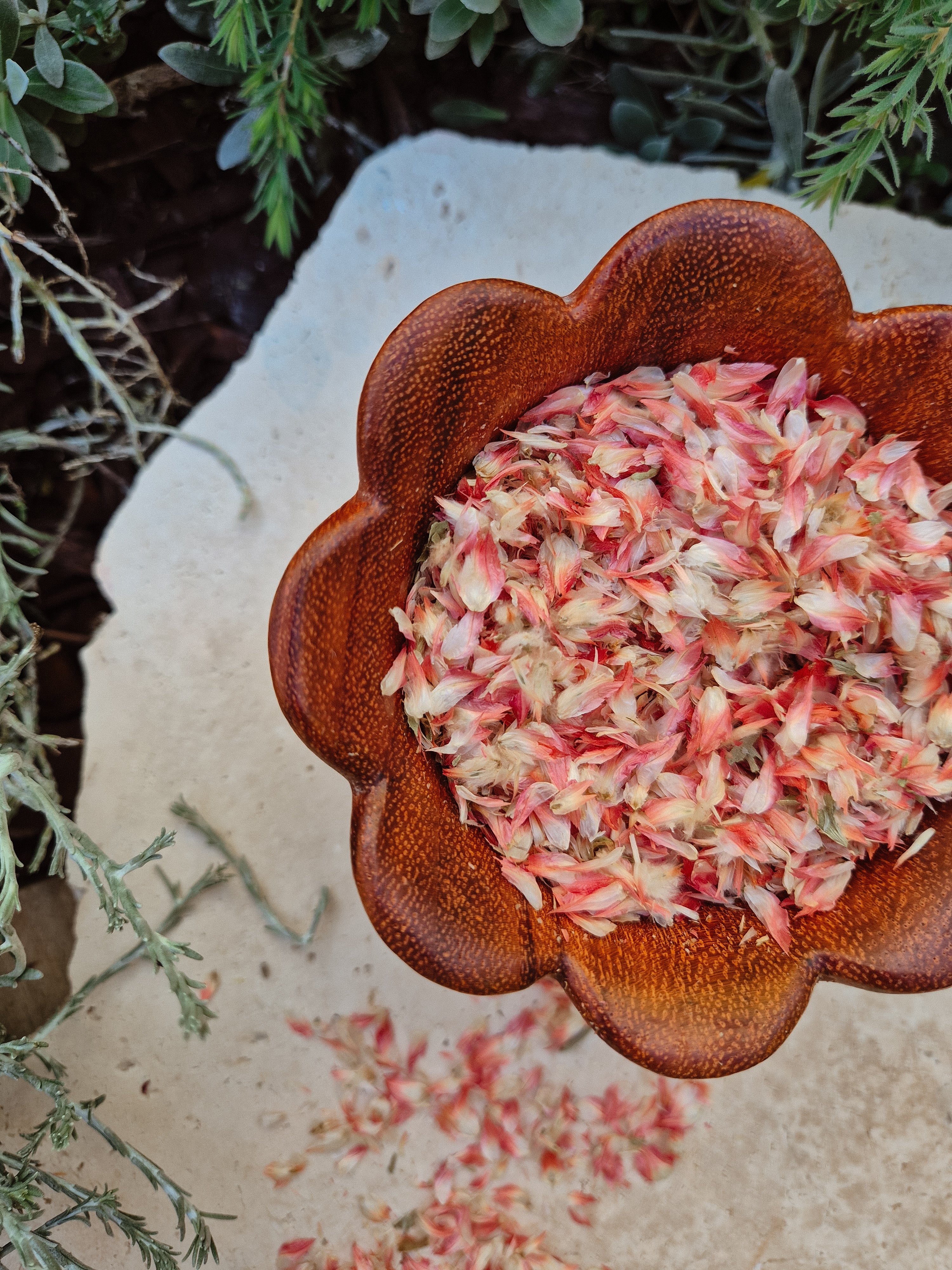 Red Plum Petals