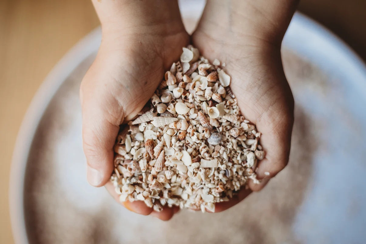 Shell Sand SMALL - Potion Ingredient