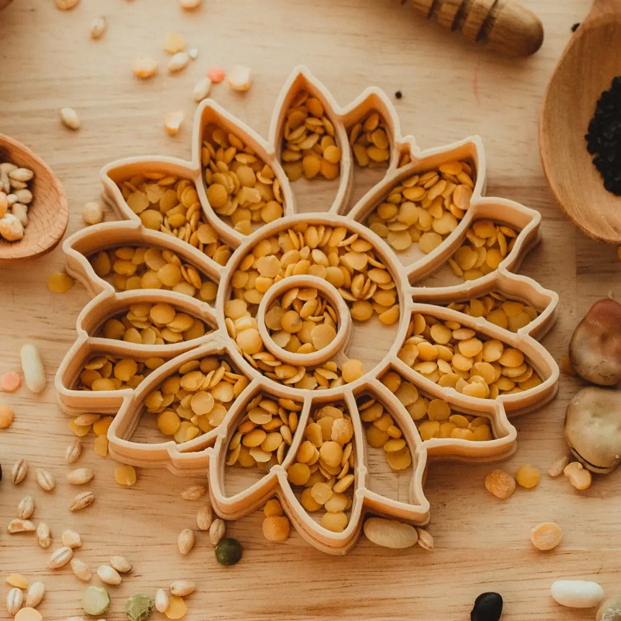 Sunflower Eco Cutter